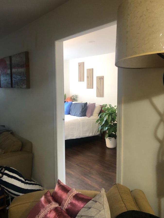 Quiet-Comfy 3 Bedroom Home On A Tree Lined Street In Kits Vancouver Esterno foto