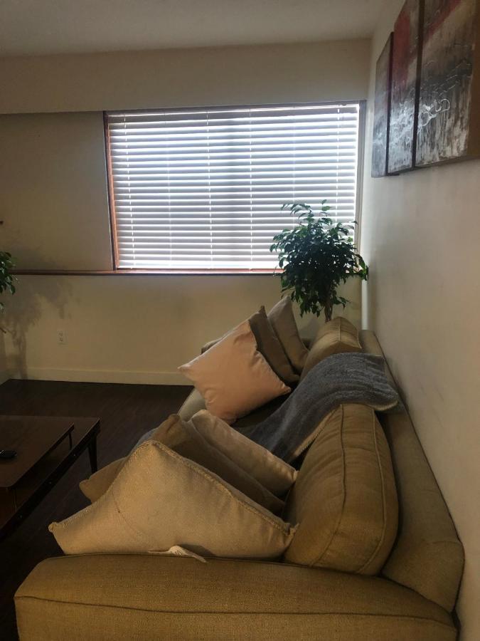 Quiet-Comfy 3 Bedroom Home On A Tree Lined Street In Kits Vancouver Esterno foto