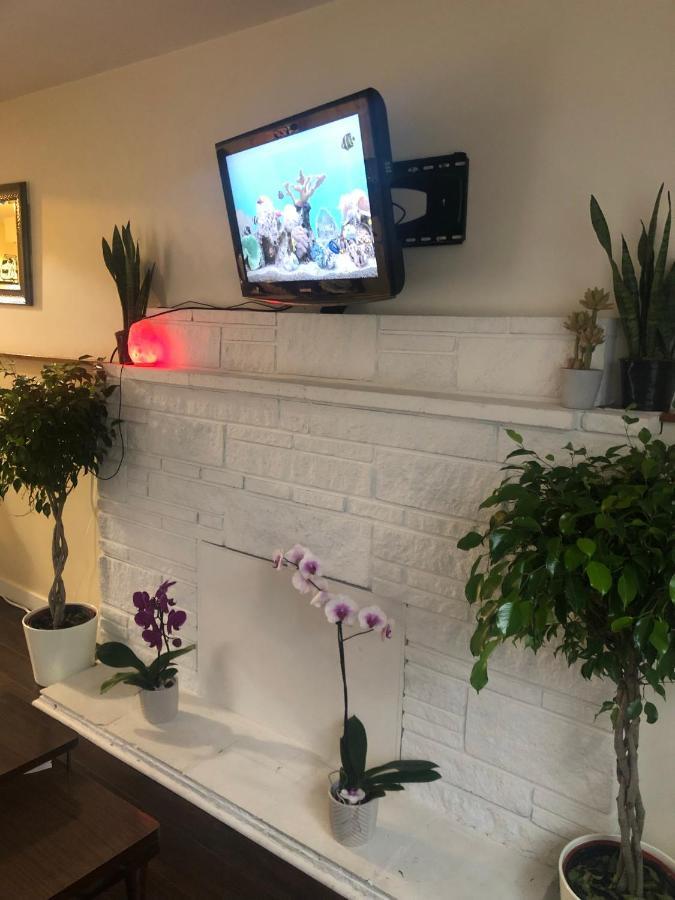 Quiet-Comfy 3 Bedroom Home On A Tree Lined Street In Kits Vancouver Esterno foto